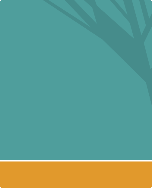 Markdown Optimization Solution: Saving Profit Margin