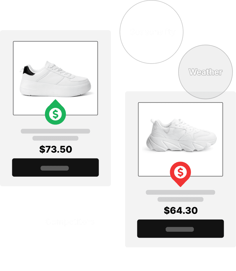 Dynamic Pricing Software