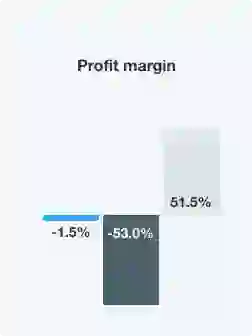 profit margin profit margin